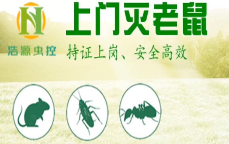 除螨服务上门专业除虫除蚁除虫除蚁提供灭跳蚤、除螨、灭蚂蚁服务