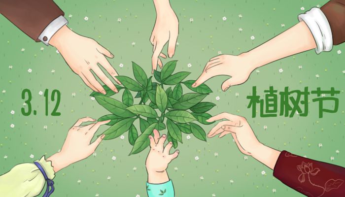 2023年3.12植树节活动方案大全 2023年最新植树节的活动方案